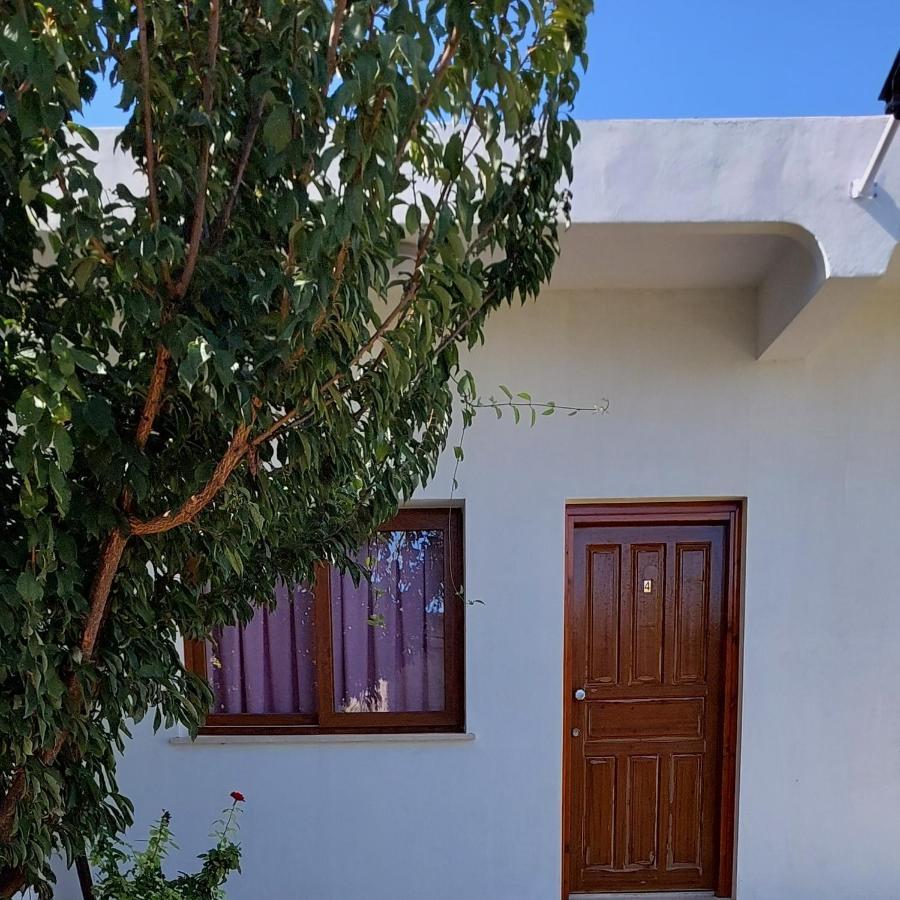 La Medusa Gardens Iskele District  Exterior foto
