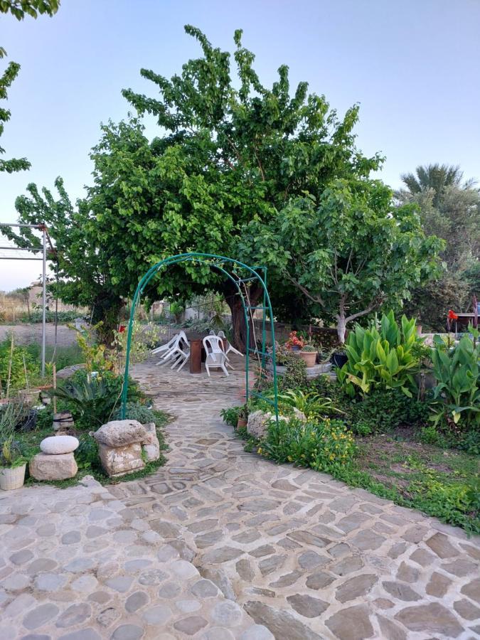 La Medusa Gardens Iskele District  Exterior foto